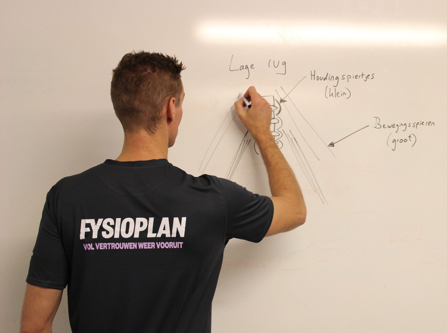 Fysiotherapeut legt acute lage rugpijn uit bij fysioplan