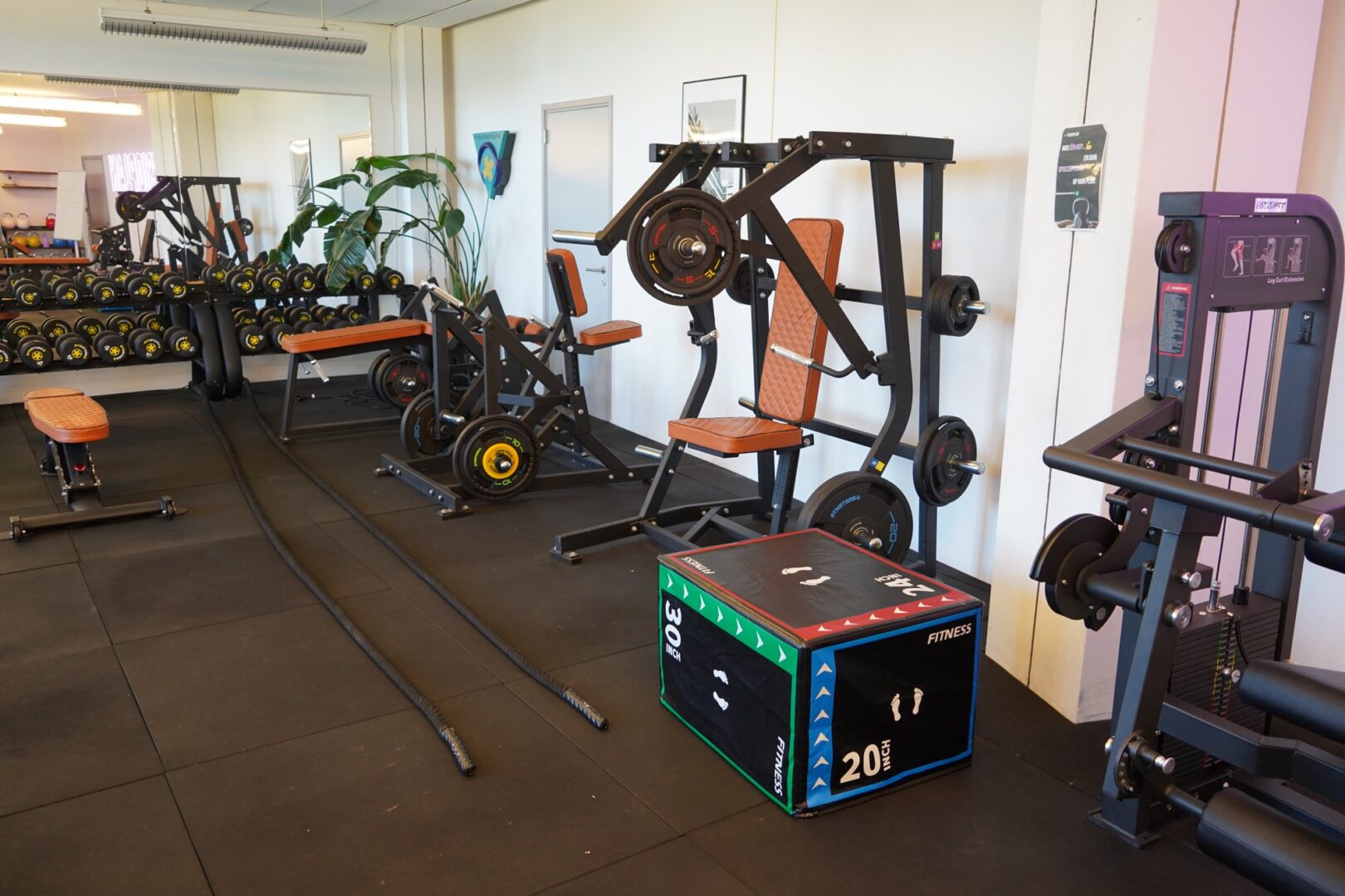 Plyobox en slagtouwen in de gym