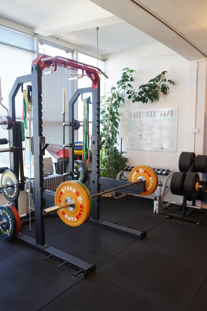 Squatrek met halterschijven in de gym