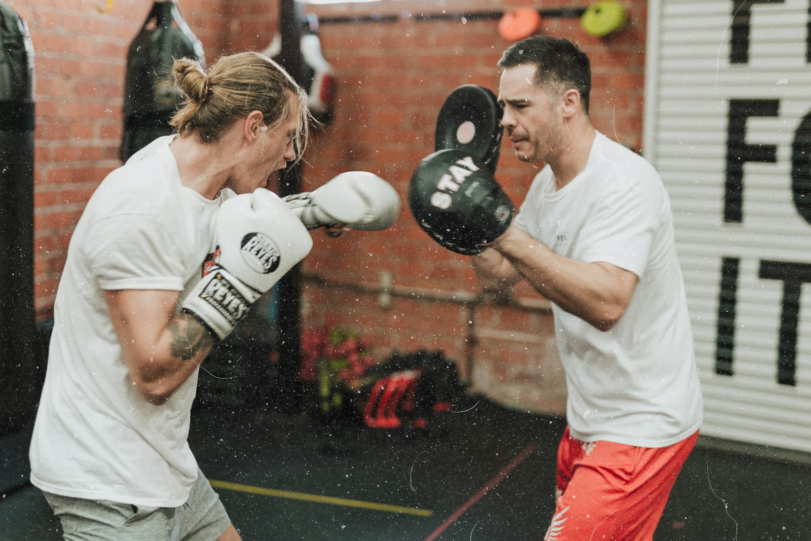 Bokser traint op de pads