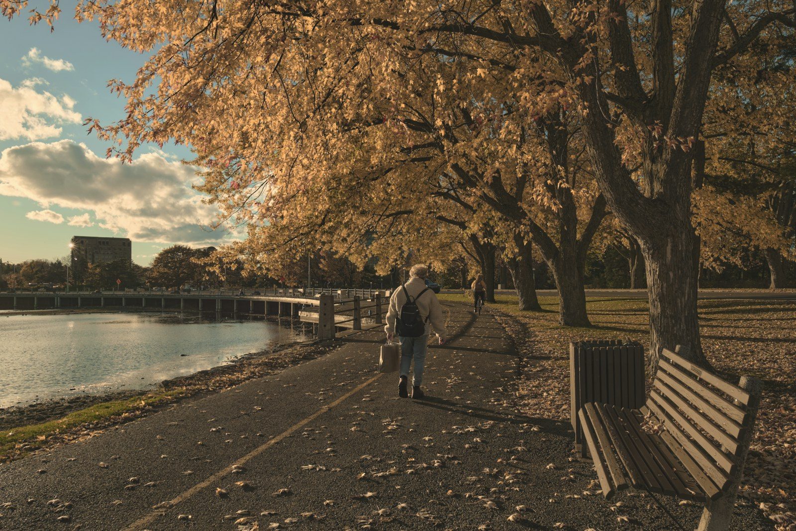 Iemand wandelt over een pad langs het water in de herfst